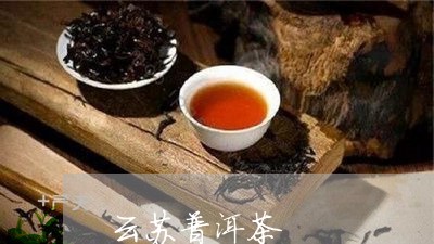 云苏普洱茶/2023112613936