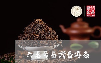 云茗号易武普洱茶/2023120423050