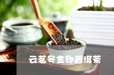 云茗号金印普洱茶/2023081681825