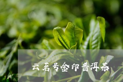 云茗号金印普洱茶/2023101610703