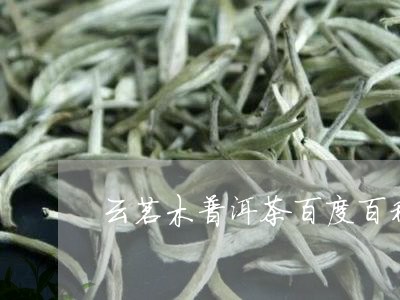 云茗木普洱茶百度百科/2023092525169