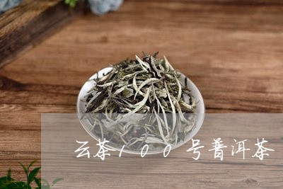 云茶100号普洱茶/2023071029613