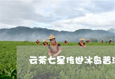 云茶七星传世冰岛普洱茶/2023112802827