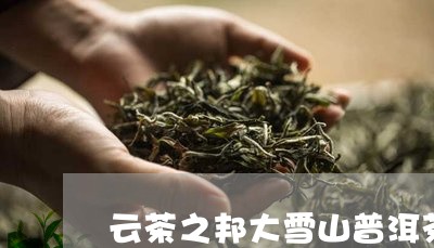 云茶之邦大雪山普洱茶/2023062119372