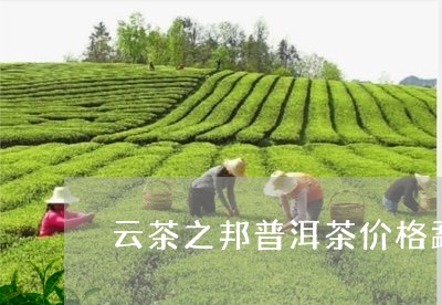 云茶之邦普洱茶价格勐海古树普洱茶/2023060341724