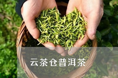 云茶仓普洱茶/2023082894825