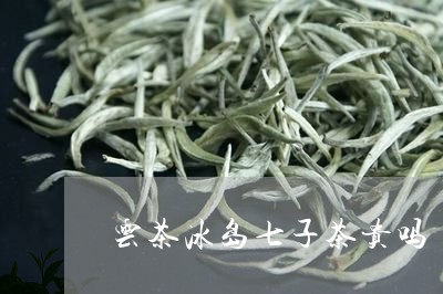 云茶冰岛七子茶贵吗/2023042616158