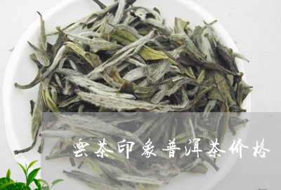 云茶印象普洱茶价格/2023071114360