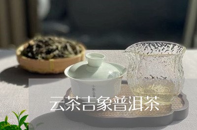 云茶吉象普洱茶/2023102694127