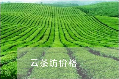 云茶坊价格/2023090204038