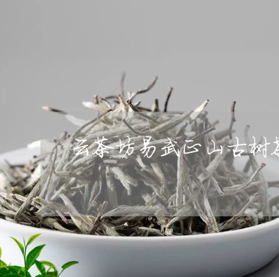 云茶坊易武正山古树茶/2023092393858