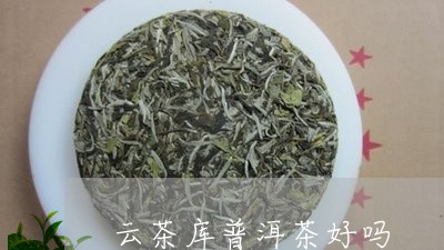 云茶库普洱茶好吗/2023070981814