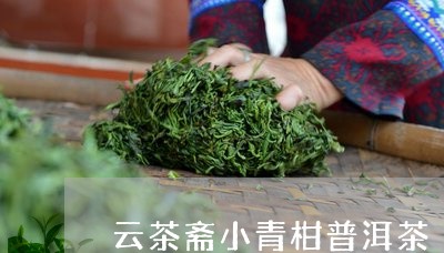 云茶斋小青柑普洱茶/2023101795057