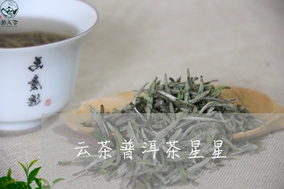 云茶普洱茶星星/2023120396385