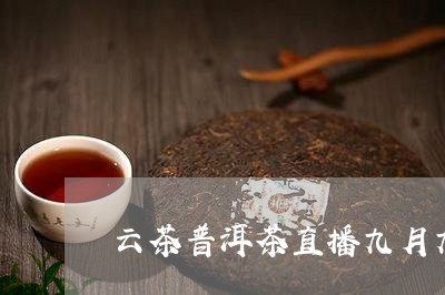 云茶普洱茶直播九月九/2023120650573