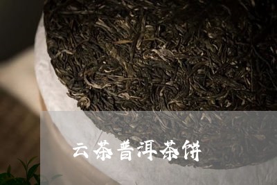 云茶普洱茶饼/2023042825785