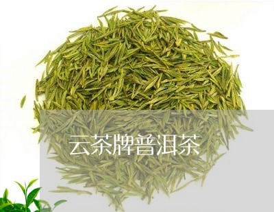 云茶牌普洱茶/2023042986496