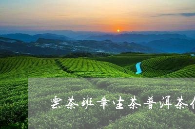 云茶班章生茶普洱茶优点/2023120759692