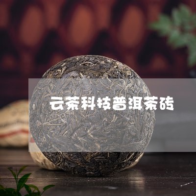 云茶科技普洱茶砖/2023082863835