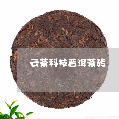 云茶科技普洱茶砖/2023110597170