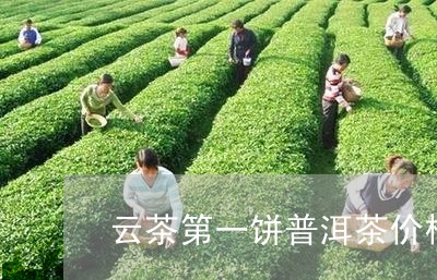 云茶第一饼普洱茶价格/2023062223926