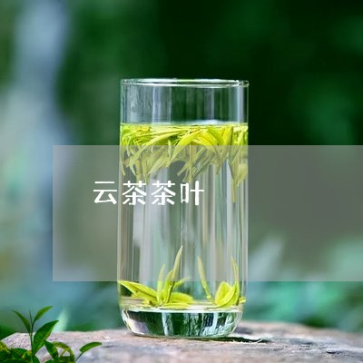 云茶茶叶/2023090132806