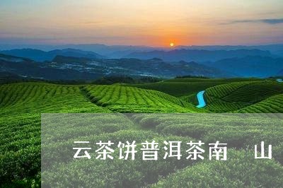 云茶饼普洱茶南檽山/2023091518169