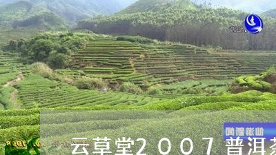 云草堂2007普洱茶/2023100843814