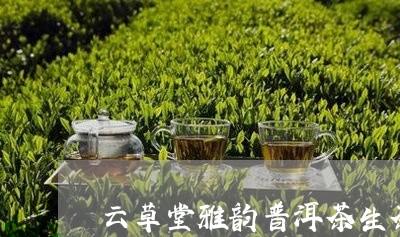 云草堂雅韵普洱茶生茶q1/2023112921403