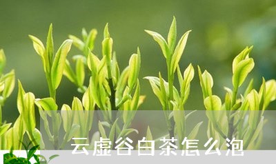 云虚谷白茶怎么泡/2023061449526