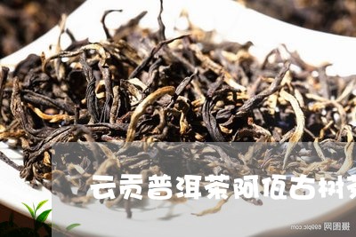 云贡普洱茶阿佤古树茶/2023062229384