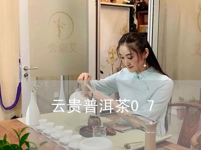 云贵普洱茶07/2023091450583