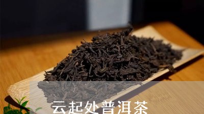 云起处普洱茶/2023042576861