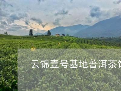 云锦壹号基地普洱茶饼/2023062309505