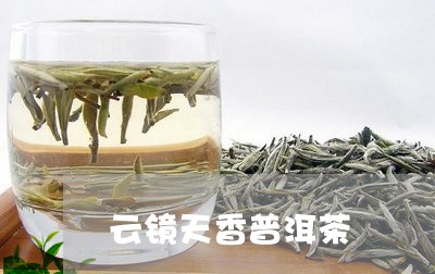 云镜天香普洱茶/2023101695047