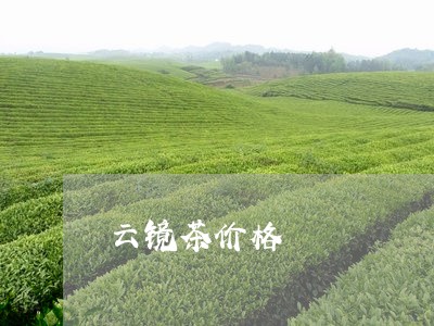 云镜茶价格/2023090290625