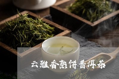 云雅香熟饼普洱茶/2023120413604