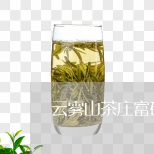 云雾山茶庄富硒白茶/2023121695272