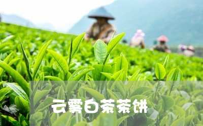 云雾白茶茶饼/2023051269616