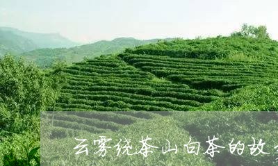 云雾绕茶山白茶的故乡/2023092654736