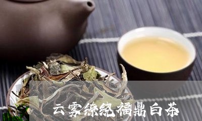 云雾缭绕福鼎白茶/2023062883725