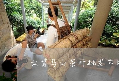 云霄乌山茶叶批发市场/2023092327258