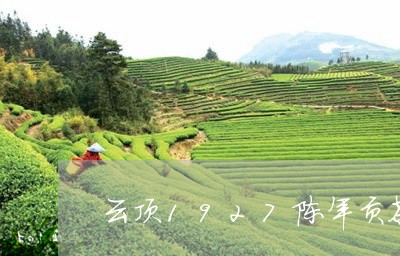 云顶1927陈年贡茶普洱茶生茶/2023082842815