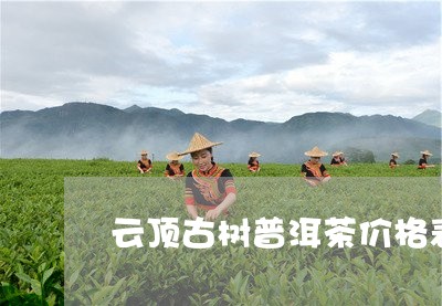 云顶古树普洱茶价格表/2023092784046