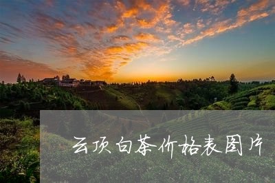 云顶白茶价格表图片/2023121604028