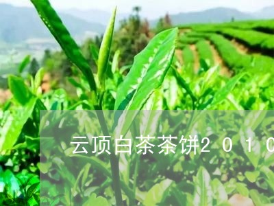 云顶白茶茶饼2010/2023092735059