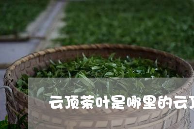 云顶茶叶是哪里的云顶200年贡茶/2023060416158