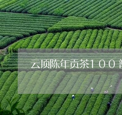 云顶陈年贡茶100普洱茶熟茶/2023053014939