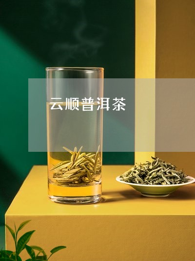 云顺普洱茶/2023112686271