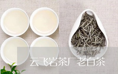 云飞岩茶厂老白茶/2023073158571